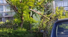 V Košiciach počas búrky privalil strom 42-ročnú ženu