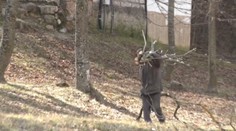 Aby im bolo teplo, ničia lesy. Za obeť padne denne niekoľko zdravých stromov