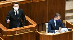 Kamenický by zmrazil platy ministrom, Matovič aj poslancom. Uvidíme, či sú to len reči