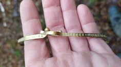 Amatérski hľadači kovov našli pri Brne veľmi cenný nález. Pochádza z rímskych čias