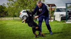 Peter Pellegrini sa omylom ocitol v reklame. Hrozí mu drakonická pokuta?