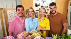 Televízia Markíza podporí najkrajší projekt roka. Prihlásiť sa môže každý