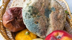 Šialene plytváme potravinami. Toto sú jednoduché tipy a triky, ako tomu zabrániť