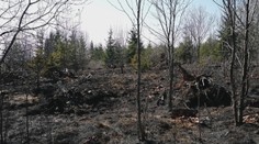 Vypaľovanie trávy si vyžiadalo najvyššiu daň: V plameňoch zahynul dôchodca