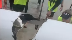 VIDEO: Žralok vyhryzol do kajaku obrovskú dieru, mladíka zhodil do vody