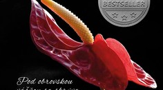 Pod týmto mužom ste ešte neboli