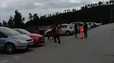 Zaskočení turisti v Tatrách. Tvárou v tvár s týmto zvieraťom sa len tak nestretnete