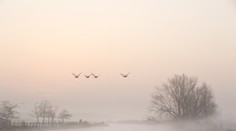 Ani počasie sa nevie rozhodnúť, ako bude. Zajtra čakajte prekvapenie