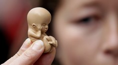 Poľský parlament zamietol návrh na úplný zákaz interrupcií