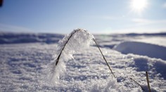 Je tu predpoveď na nadchádzajúcu zimu. Experti už vedia, ako zaútočí polárny vír