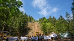 Ochranári upozorňujú na kontroverznú ťažbu dreva vo vzácnej lokalite. Avizujú trestné oznámenie