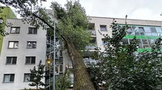 FOTO: Na bytovku v Bratislave sa zrútil obrovský strom. Poškodil balkóny aj fasádu