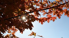 Zaskočil vás chladný koniec leta? Poteší vás, kam až sa vyšplhá teplota v nasledujúcich dňoch