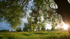 Koniec mája prináša zmenu v počasí. Poteší či zarmúti?