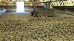 Horúčavy a suchá ovplyvňujú úrodu. O koľko si priplatíme?