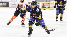 Vo Fínsku je najlepší, ale do repre ho nevolajú. Ďalší slovenský talent odchádza reprezentovať inú krajinu