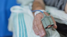 Ďalšia krajina Európy hlási prípady západonílskej horúčky. Za dovolenkou tam cestujú tisíce Slovákov