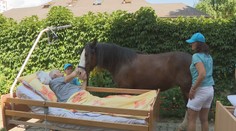 Pomáhajú uzdraviť telo i dušu, Karellovci vedia ako využiť liečivú silu koní