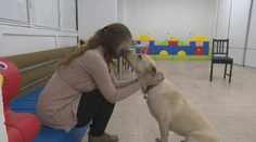 Linda trpí vzácnou fóbiou. Aj keď spĺňa kritériá, štát jej asistenčného psa nepreplatí