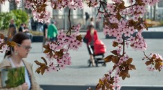 Konečne dobrá správa. Jarné teploty sa blížia