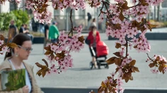 Konečne dobrá správa. Jarné teploty sa blížia