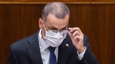 Žilinka pred poslancami: Nikomu nekryjem chrbát a nekonám politicky