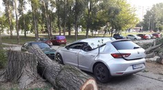 Fotografie od vás: Veterná smršť ničila, čo jej prišlo do cesty