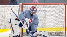 Máš zmluvu s Minnesotou, budil Hlavaja agent. Reprezentantov odchod v jeho klube príliš nenadchol