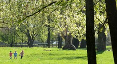 Počasie sa na pár dní umúdri, nahor poskočia aj teploty