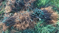 Neprešlo ani 24 hodín a lup z krádeže, ktorá nemá obdobu, sa našiel