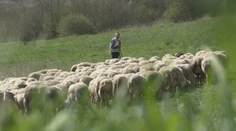 Vytúžená jar má trpkú príchuť. V Brusne na Pohroní podľahol covidu najlepší bača