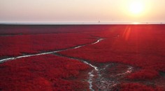 Jedinečná pláž v Číne: Jej sfarbenie vám vyrazí dych