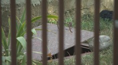 Tragédia v Maduniciach. Susedia ratovali topiacu sa dvojicu, muža (†33) usmrtili splašky z celej ulice