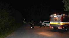 Pri Krupinej sa stratil chlapec (2), našli ho po šiestich hodinách v lese