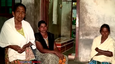 Stovka túlavých psov trhala 65-ročnú ženu. Na všetko sa díval jej syn