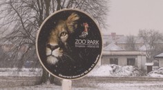 Stropkovská zoo prišla o maskota. Úrady rozhodli, že levicu chovali v zlých podmienkach