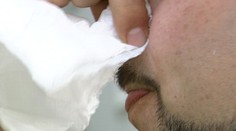 Ťažká skúška pre alergikov. V tomto období trpia