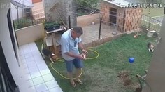 Toto doma neskúšajte! Muž vyhodil do vzduchu celý trávnik, aby vyhubil šváby