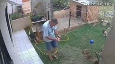 Toto doma neskúšajte! Muž vyhodil do vzduchu celý trávnik, aby vyhubil šváby