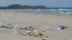 Nie všetko, čo je označené ako eko, pomáha planéte. Pozrite si, ako nenaletieť na marketingové klamstvá