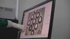 Experti zrejme dokázali to, čo sa ešte nikomu na svete nepodarilo. Majú aj živý dôkaz