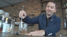 Filet z morského vlka, paradajkové concassé s bazalkou