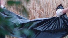 Na hrádzi v bratislavskej Petržalke našli mŕtvu ženu