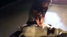 VIDEO: Záchranár je ospevovaným hrdinom. V civile oživoval zrazené slonie mláďa