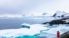 Vyšla nová štúdia o topení ľadovcov. Vyhliadky vyzerajú hrozivo