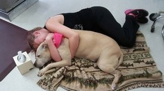 Milovaného psa musela nechať utratiť. Zdokumentovala jeho posledný deň