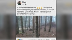 Video, ktoré zachytáva medvede v Borinke, je hoax. K záberom sa prihlásili skutoční autori