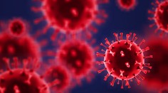 VIDEO: Vedci prvýkrát nafilmovali, ako sa covid šíri telom. Prienik do tohto orgánu znamenal smrť