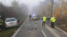 Pri čelnej zrážke za hustej hmly pri Šenkviciach vyhasol život vodiča