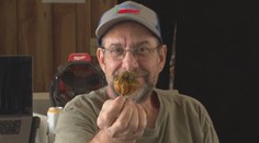 Svet má novú najpálivejšiu čili papričku. Prepísala rekord po desiatich rokoch